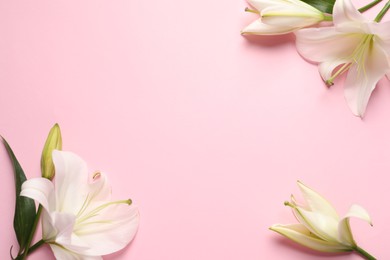 Beautiful white lily flowers on pink background, flat lay. Space for text