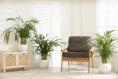 Stylish room interior with exotic house plants