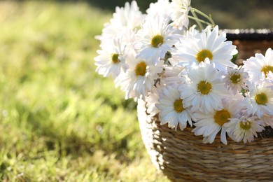 Beautiful wild flowers in wicker basket on green grass outdoors, closeup. Space for text