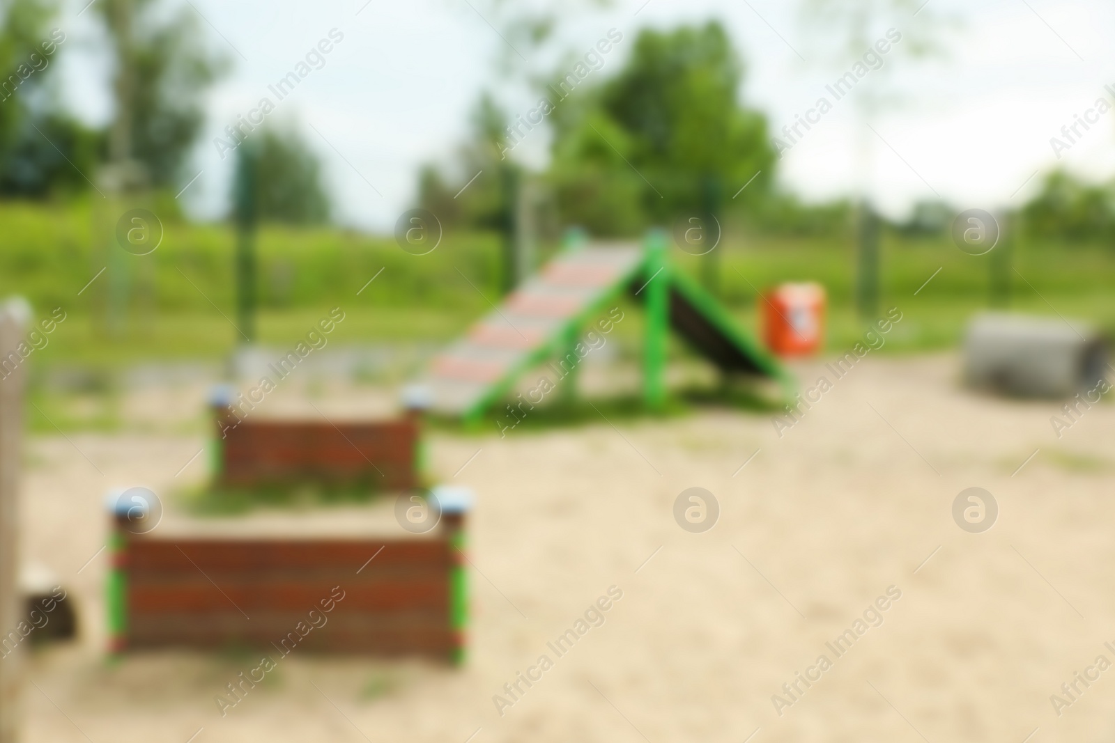 Photo of King of hill and doggie crawls on animal training area outdoors, blurred view