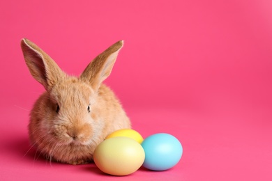 Adorable furry Easter bunny and dyed eggs on color background, space for text