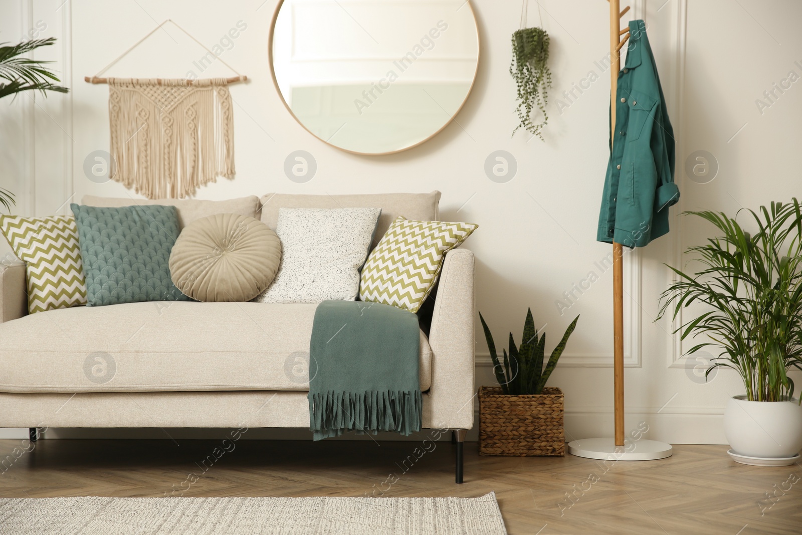 Photo of Stylish living room interior with beautiful house plants