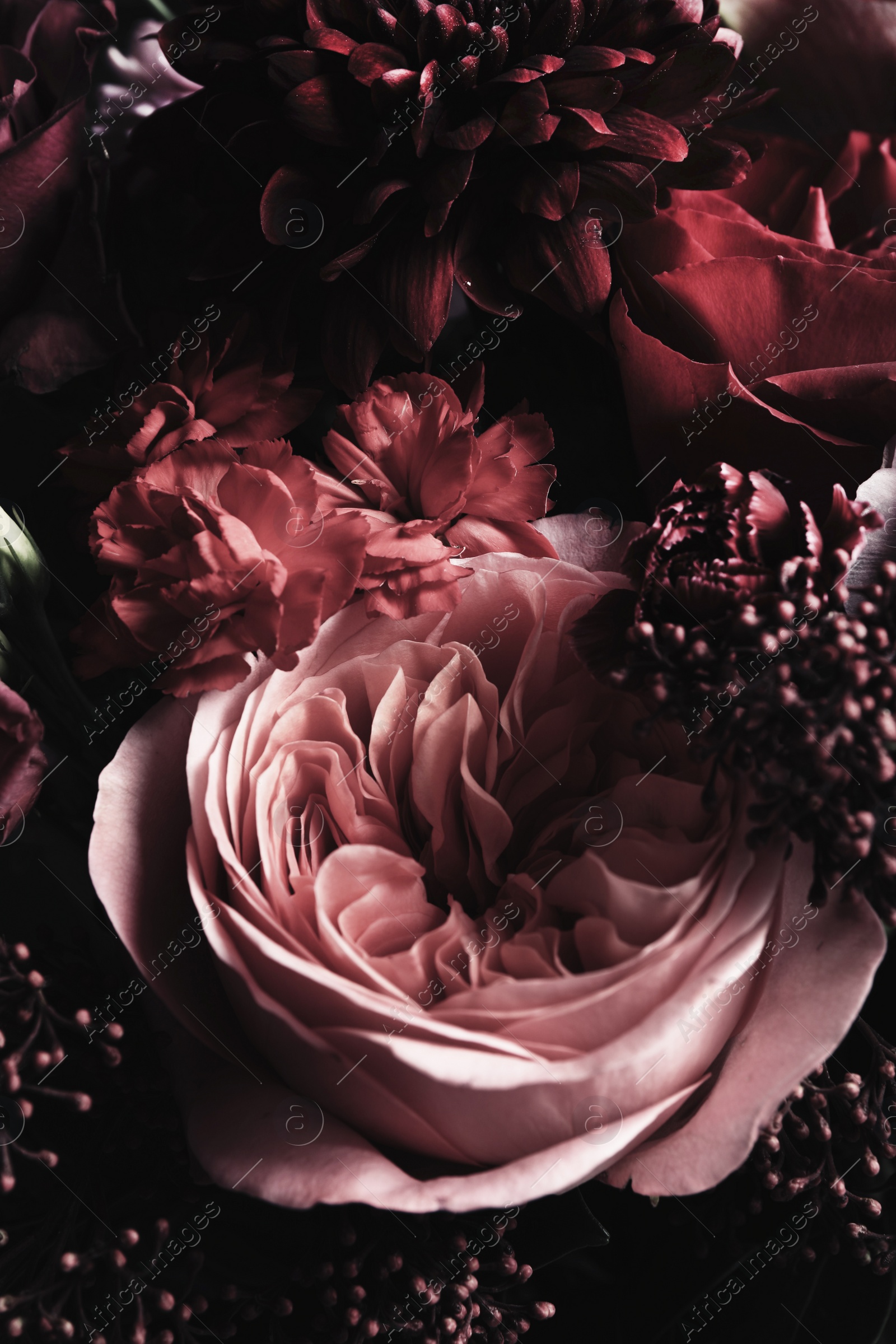 Photo of Beautiful bouquet of different flowers, closeup. Floral card design with dark vintage effect