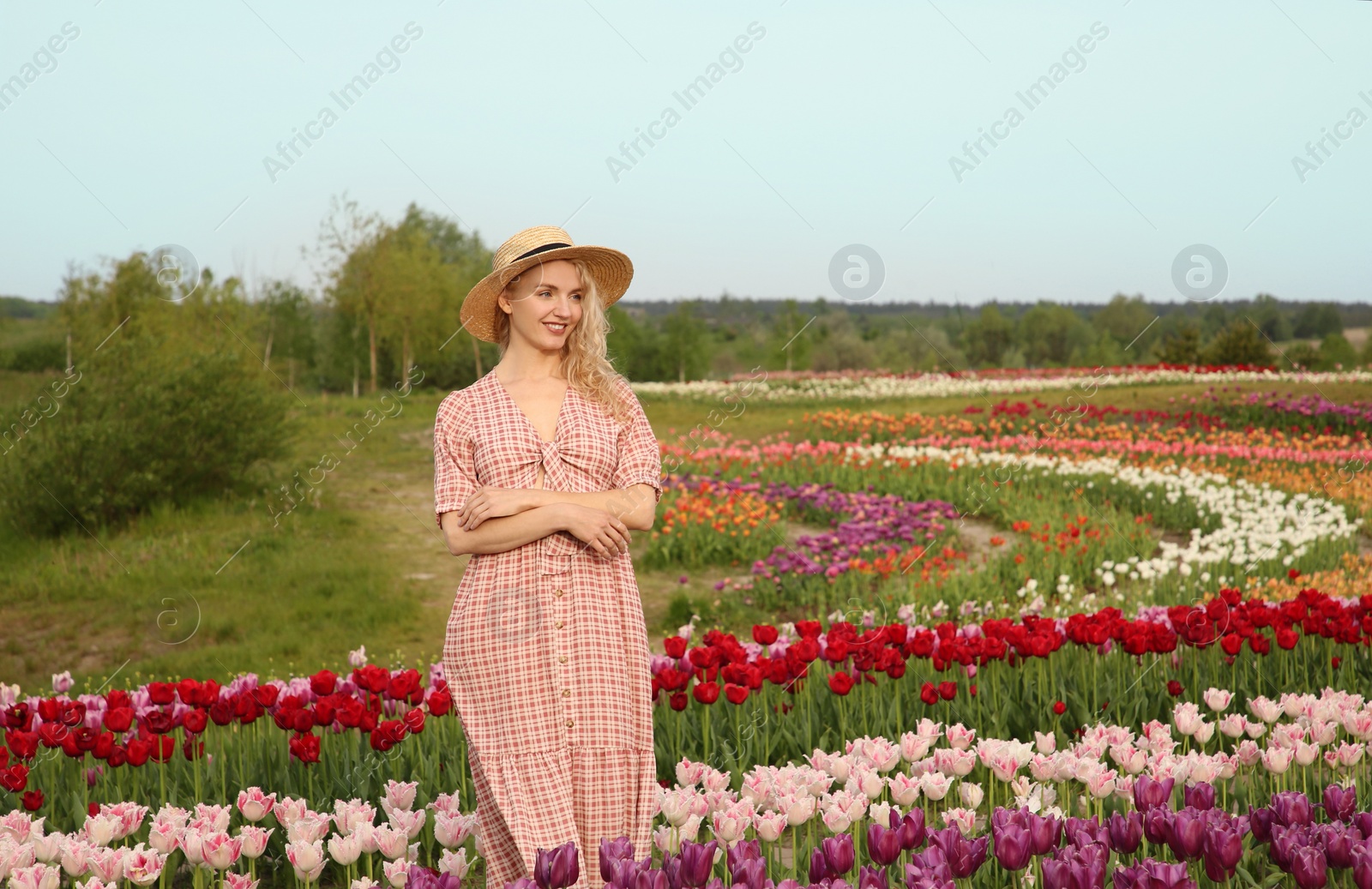 Photo of Happy woman in beautiful tulip field outdoors