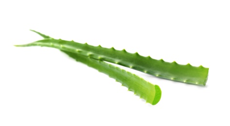 Photo of Aloe vera leaves on white background