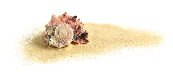 Beautiful sea shell and sand on white background
