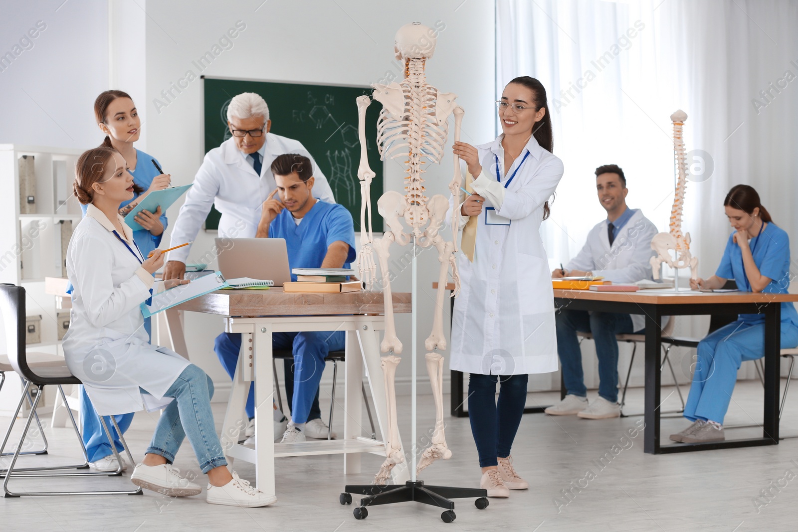 Photo of Medical students and professor studying human skeleton anatomy in classroom