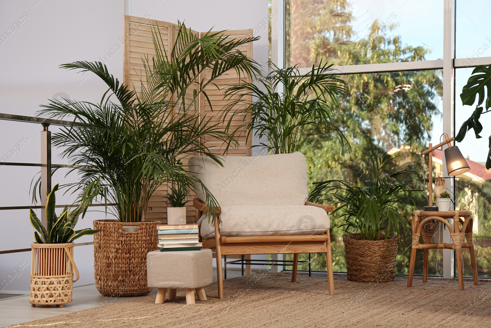 Photo of Stylish room interior with comfortable armchair and different exotic houseplants