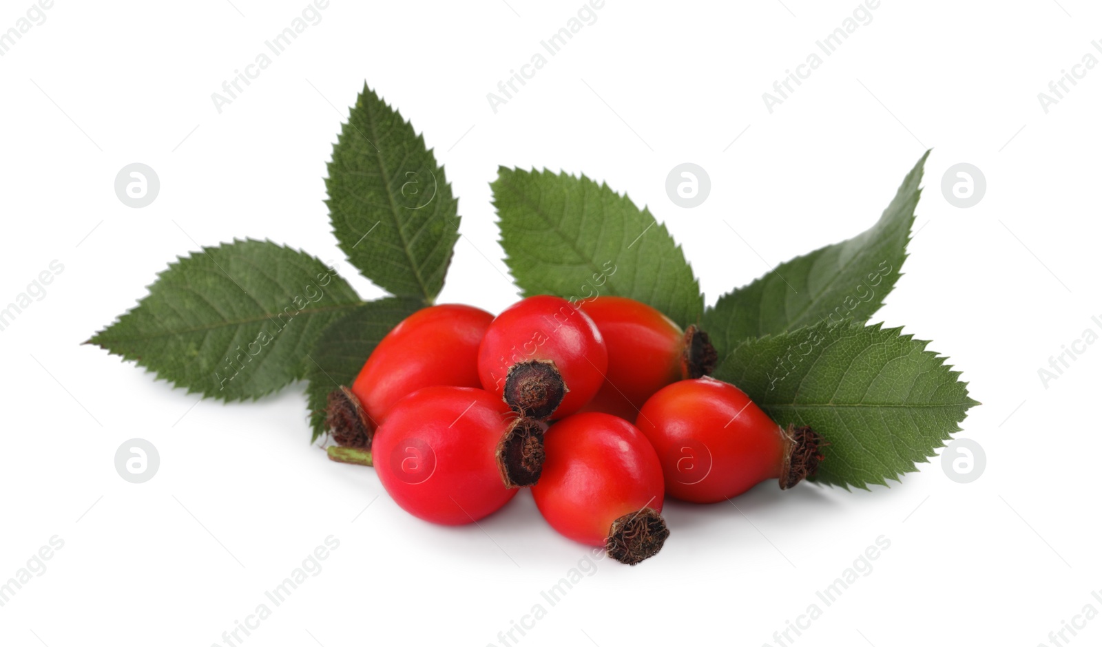 Photo of Ripe rose hip berries with green leaves on white background