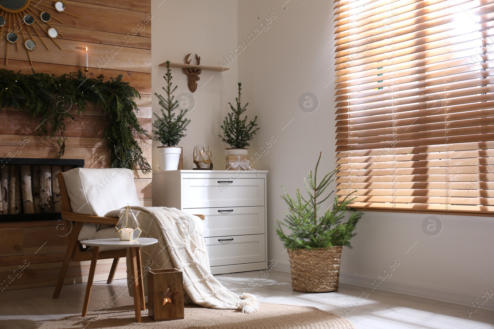 Photo of Beautiful room decorated for Christmas with potted firs. Interior design