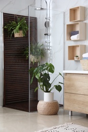 Photo of Bathroom interior with shower stall and houseplants. Idea for design