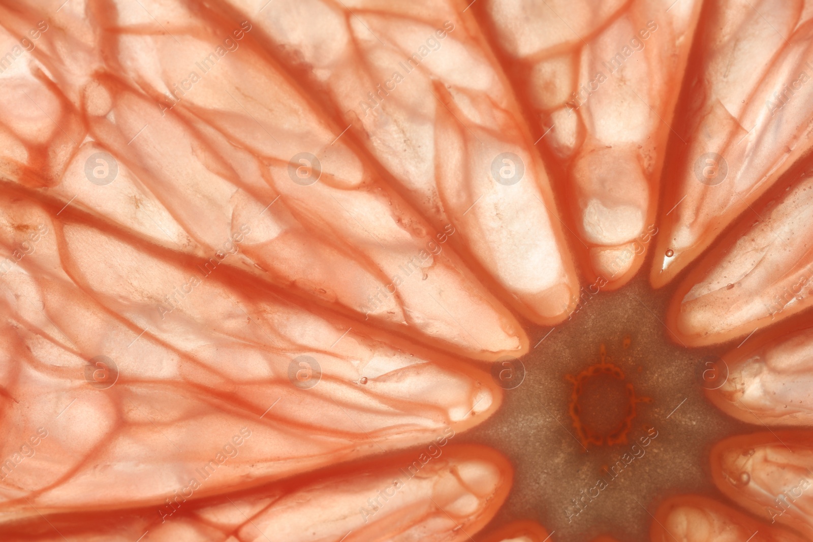 Photo of Texture of tasty grapefruit as background, macro
