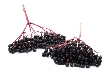 Bunches of ripe elderberries on white background