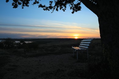 Photo of Bench under tree in field at sunrise. Early morning landscape