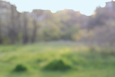 Photo of Blurred view of green lawn in park. Bokeh effect