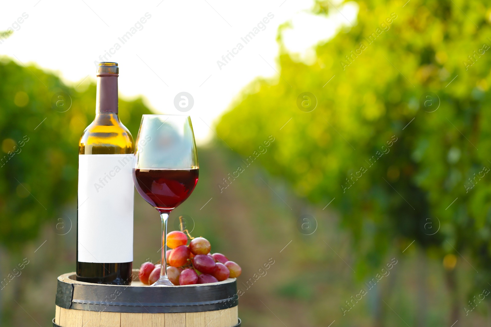 Photo of Composition with wine and ripe grapes on barrel at vineyard