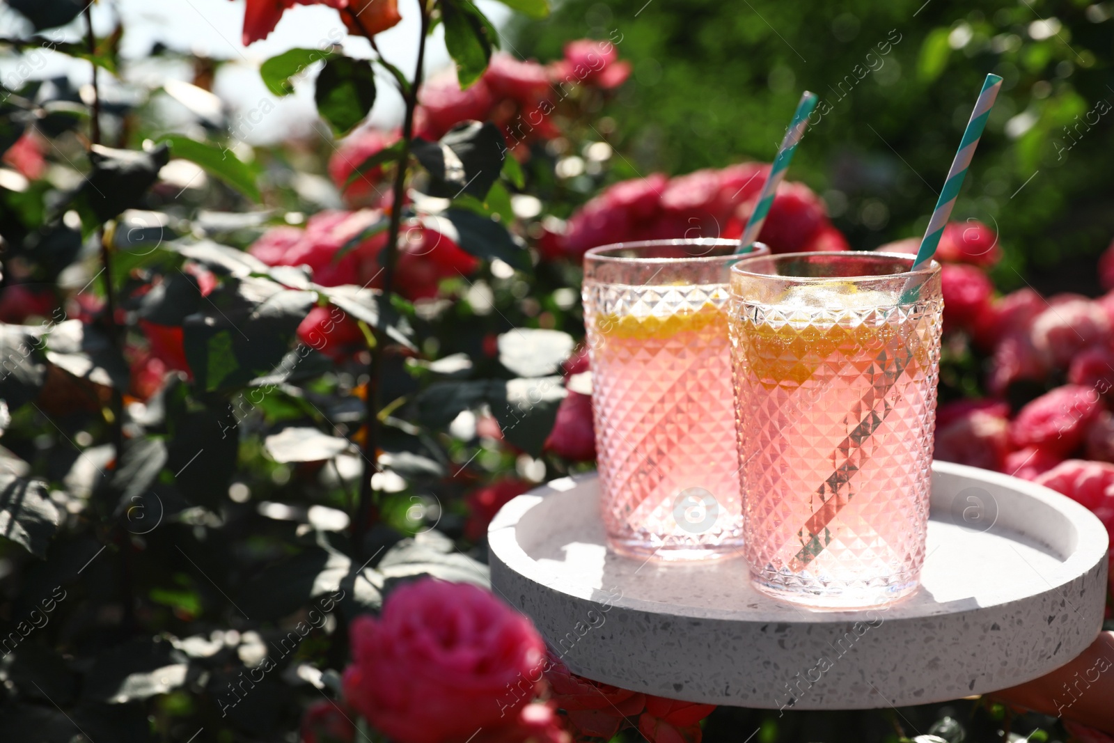 Photo of Glasses of pink lemonade on white table in rose garden. Space for text