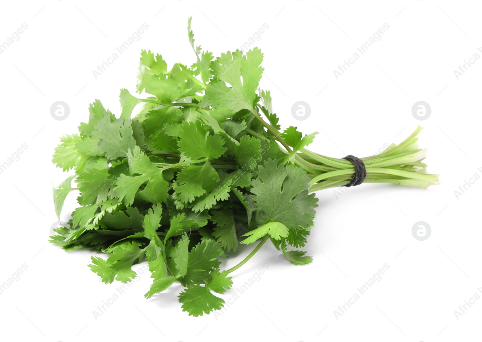 Photo of Bunch of fresh green organic cilantro isolated on white