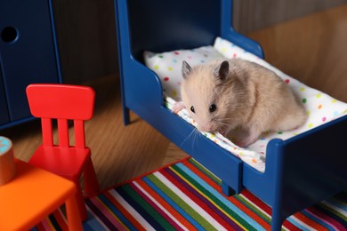 Photo of Adorable hamster in room with colorful toy furniture 