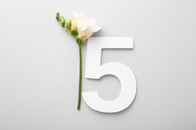 Paper number 5 and beautiful flower on light grey background, top view