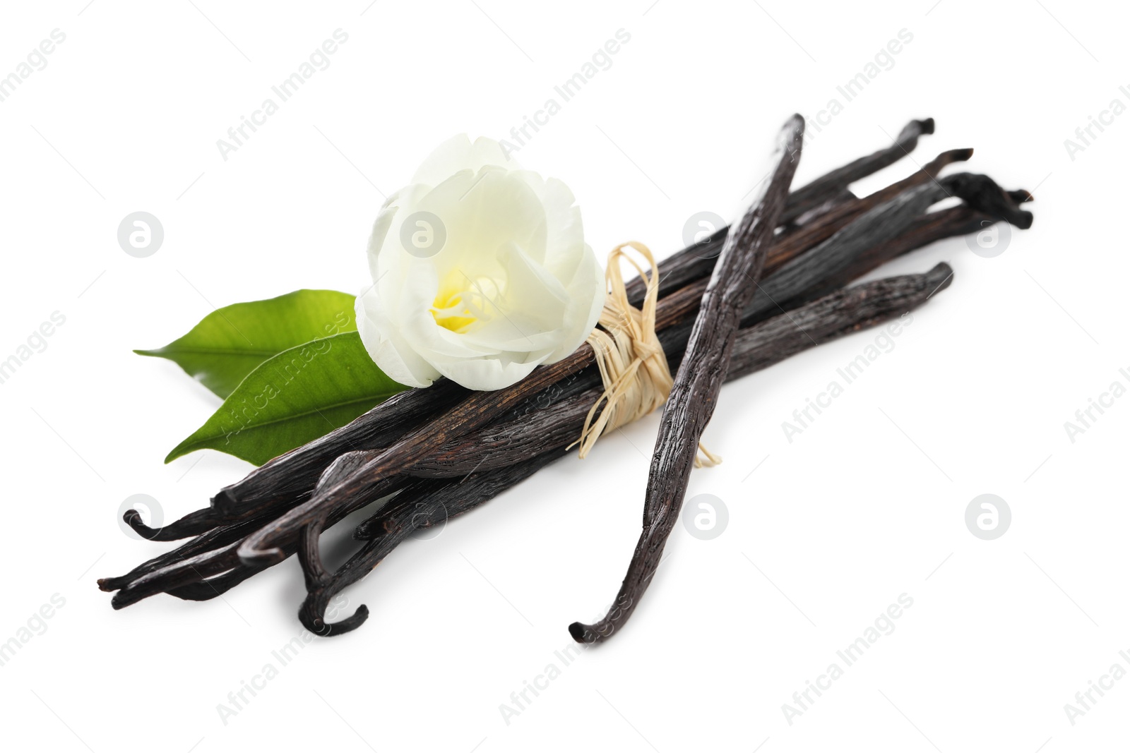 Photo of Vanilla pods, green leaves and flower isolated on white