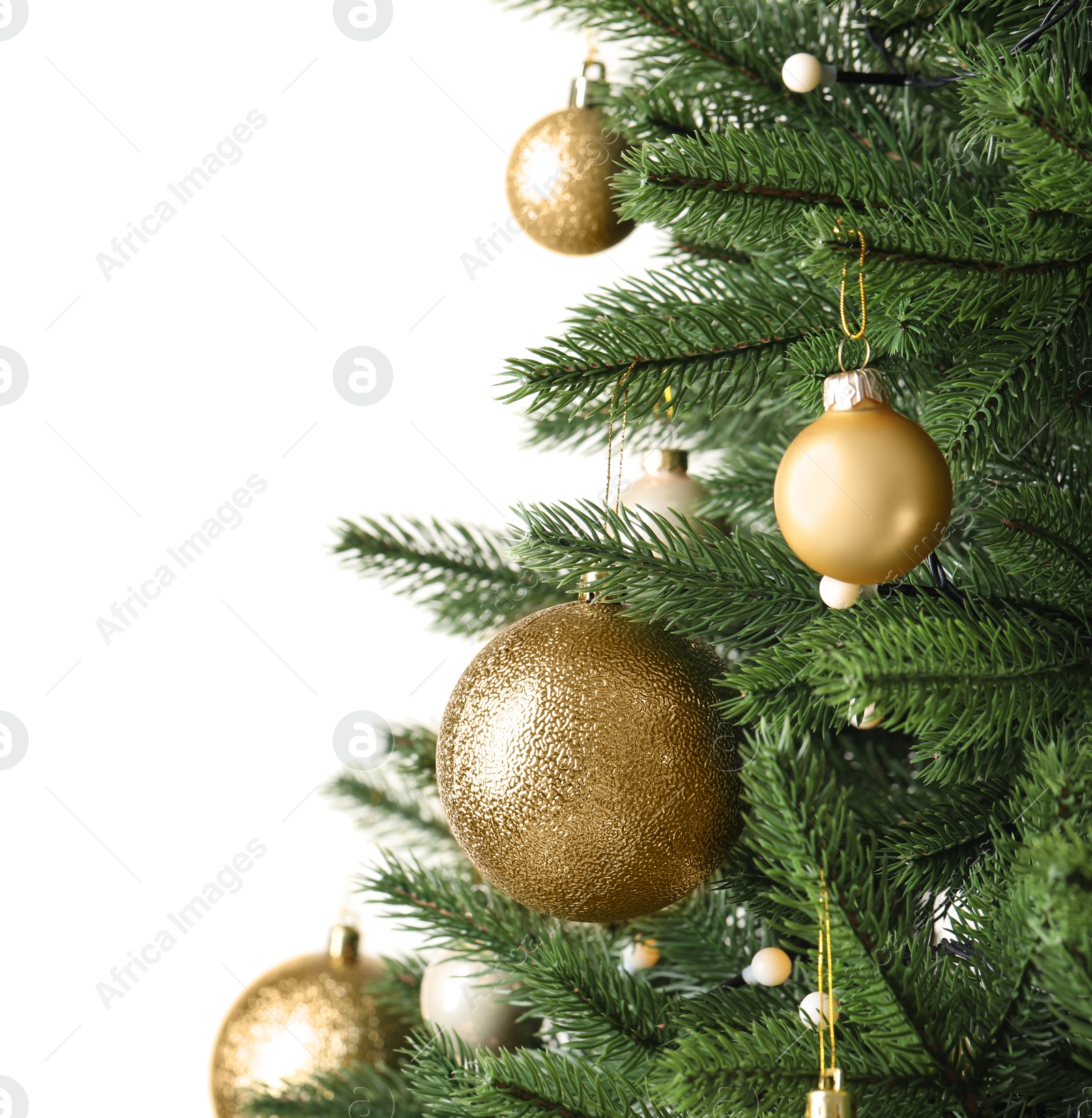 Photo of Beautiful Christmas tree with festive decor on white background