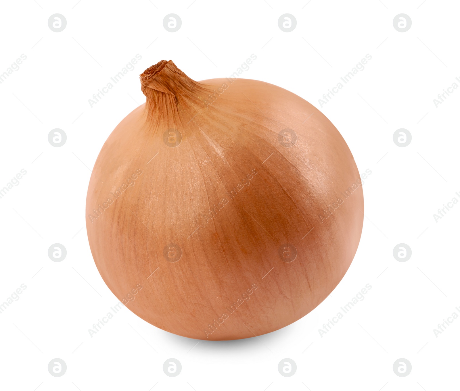 Photo of One yellow fresh onion isolated on white