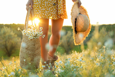 Photo of Woman with straw hat and handbag full of chamomiles walking in meadow, closeup