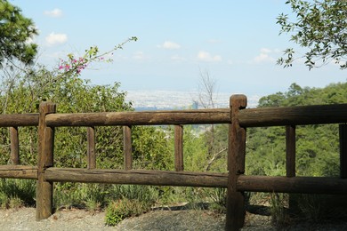 Photo of Wooden fence near beautiful trees and plants outdoors