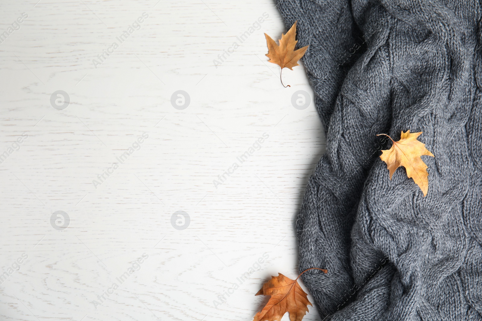 Photo of Knitted plaid and dry leaves on white wooden table, flat lay. Space for text