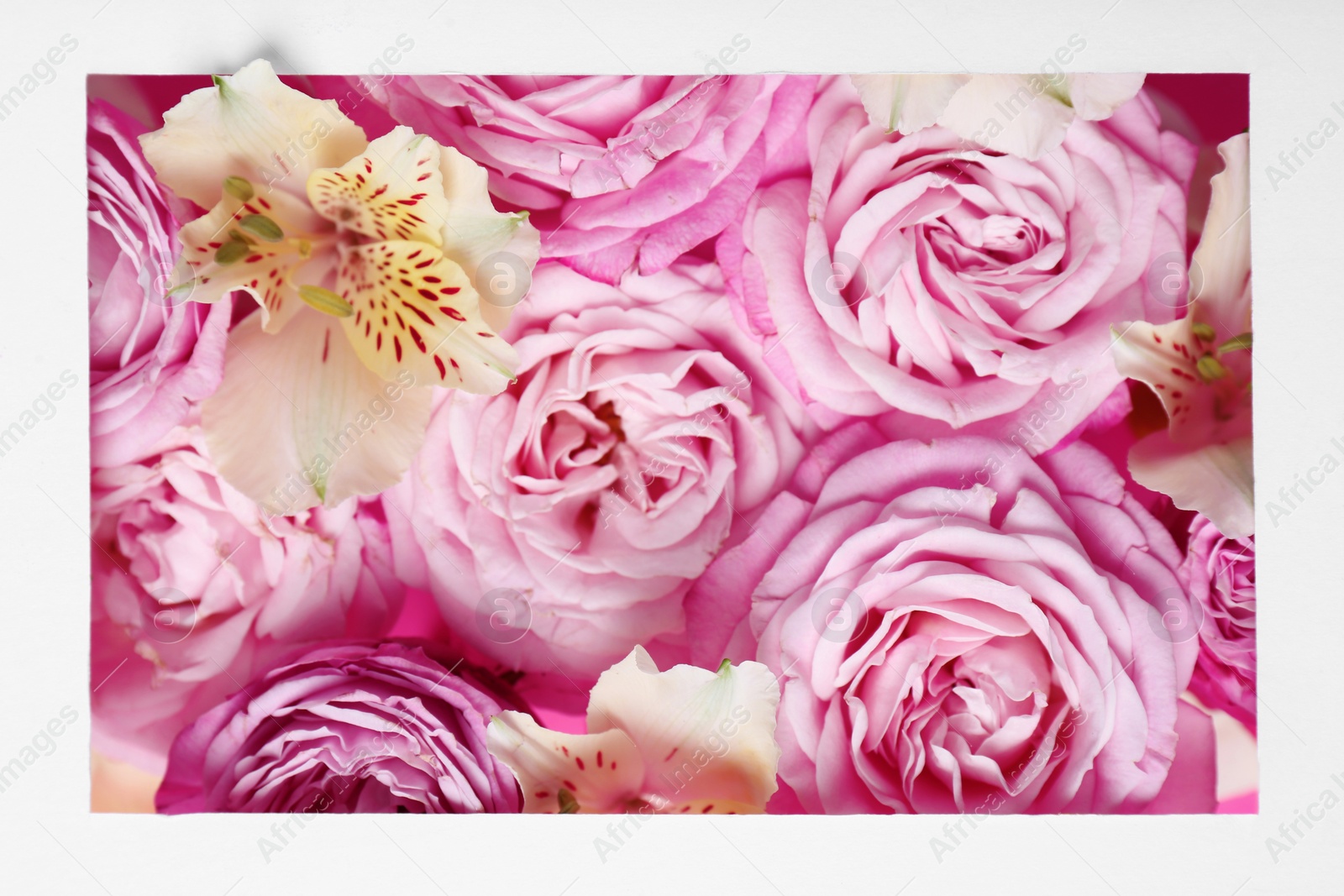 Photo of Fresh flowers in white frame, top view. Space for text