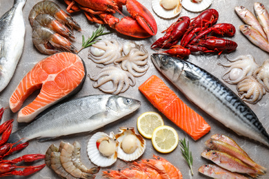 Photo of Fresh fish and seafood on marble table, flat lay