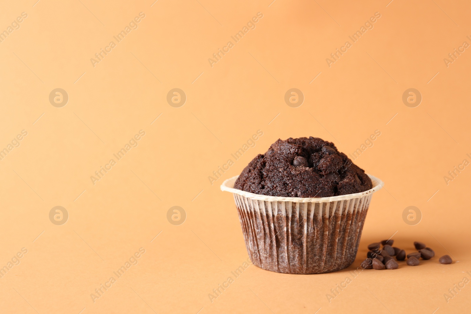 Photo of Tasty chocolate muffin on pale orange background, space for text