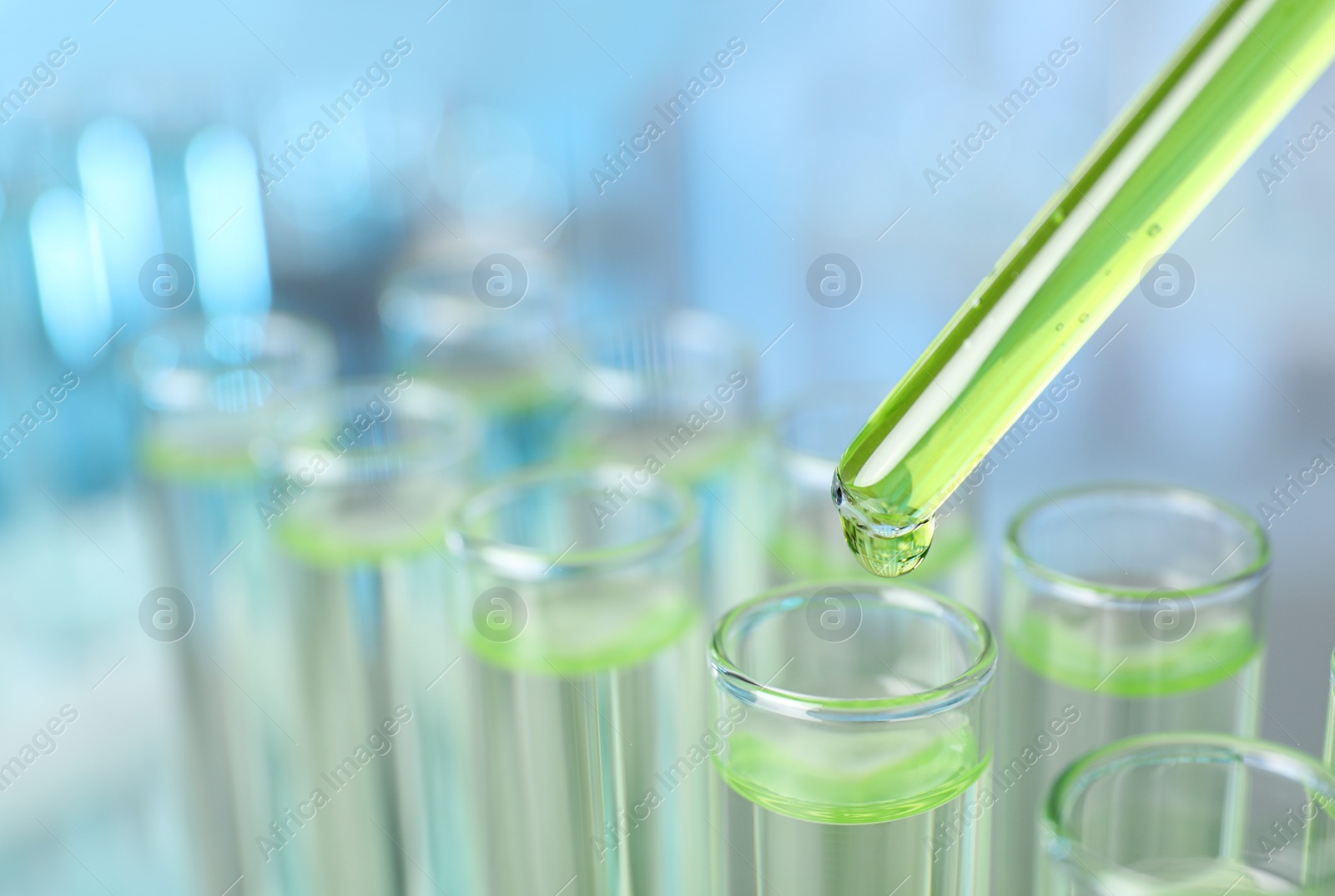 Photo of Dripping liquid into test tube on blurred background, closeup. Laboratory analysis