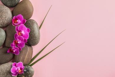 Photo of Spa stones with orchid flowers on pink background, top view. Space for text