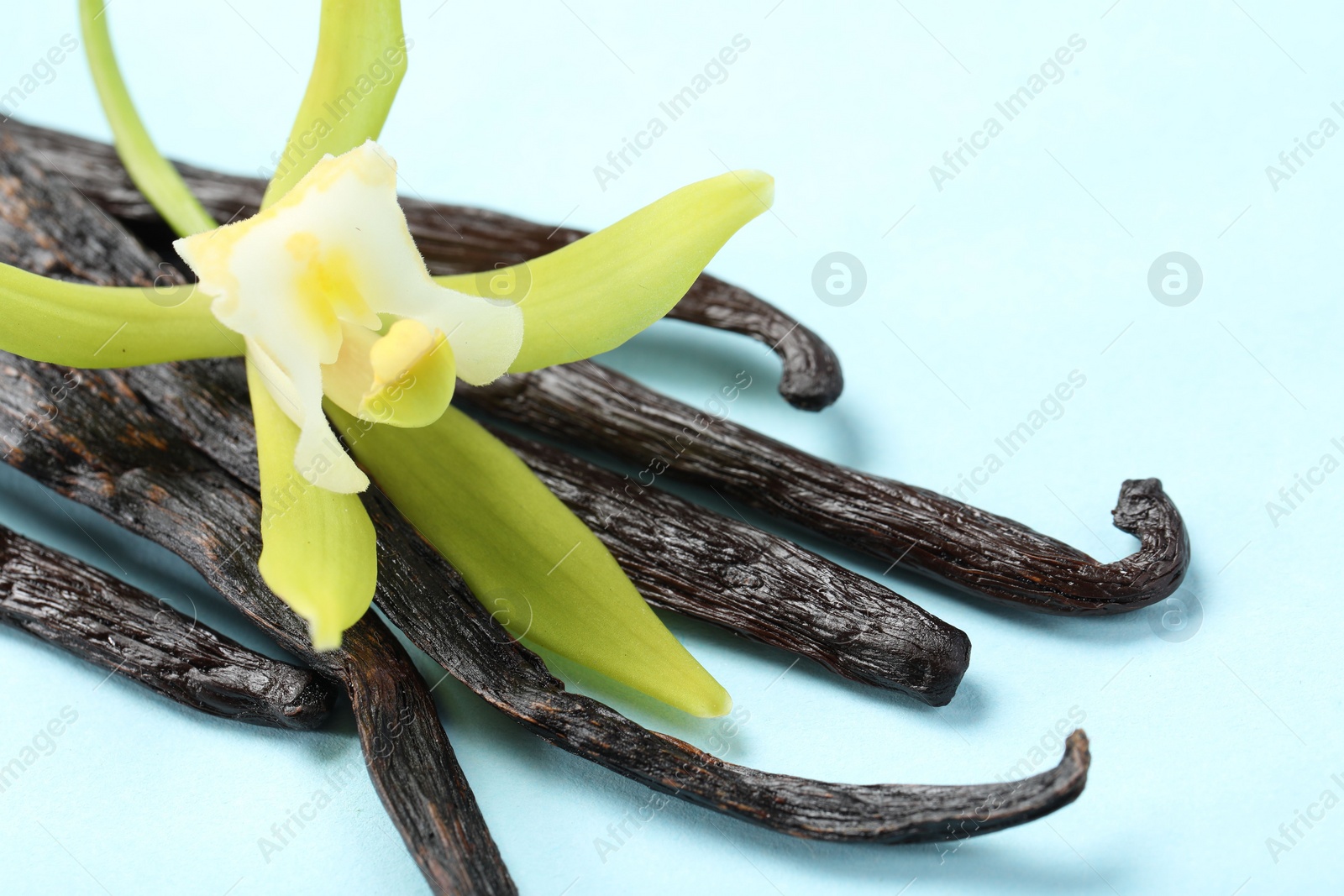 Photo of Vanilla pods and beautiful flower on light blue background, closeup