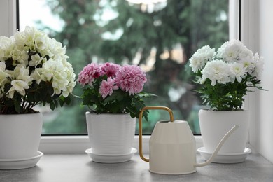 Photo of Beautiful chrysanthemum, azalea flowers in pots and watering can on windowsill indoors