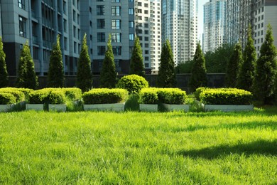 Photo of Beautiful viewfresh green grass growing near modern housing estate outdoors