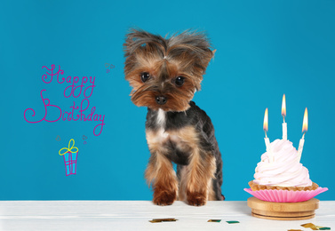 Image of Text Happy Birthday, Yorkshire terrier dog and delicious cupcake on blue background