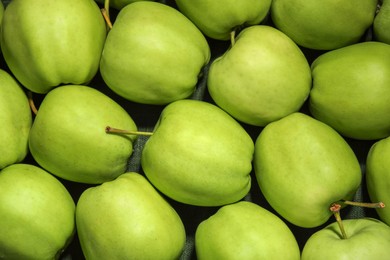 Photo of Fresh green apples on dark cloth, top view