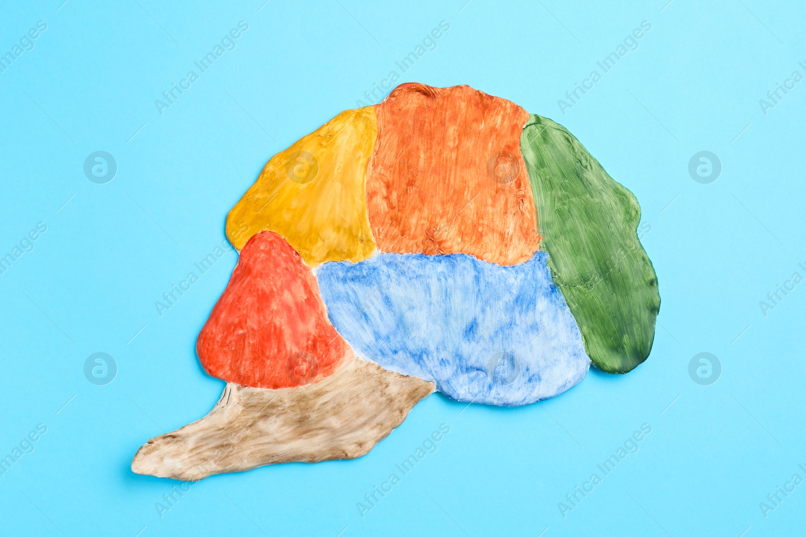 Photo of Amnesia problem. Brain with sections on light blue background, top view