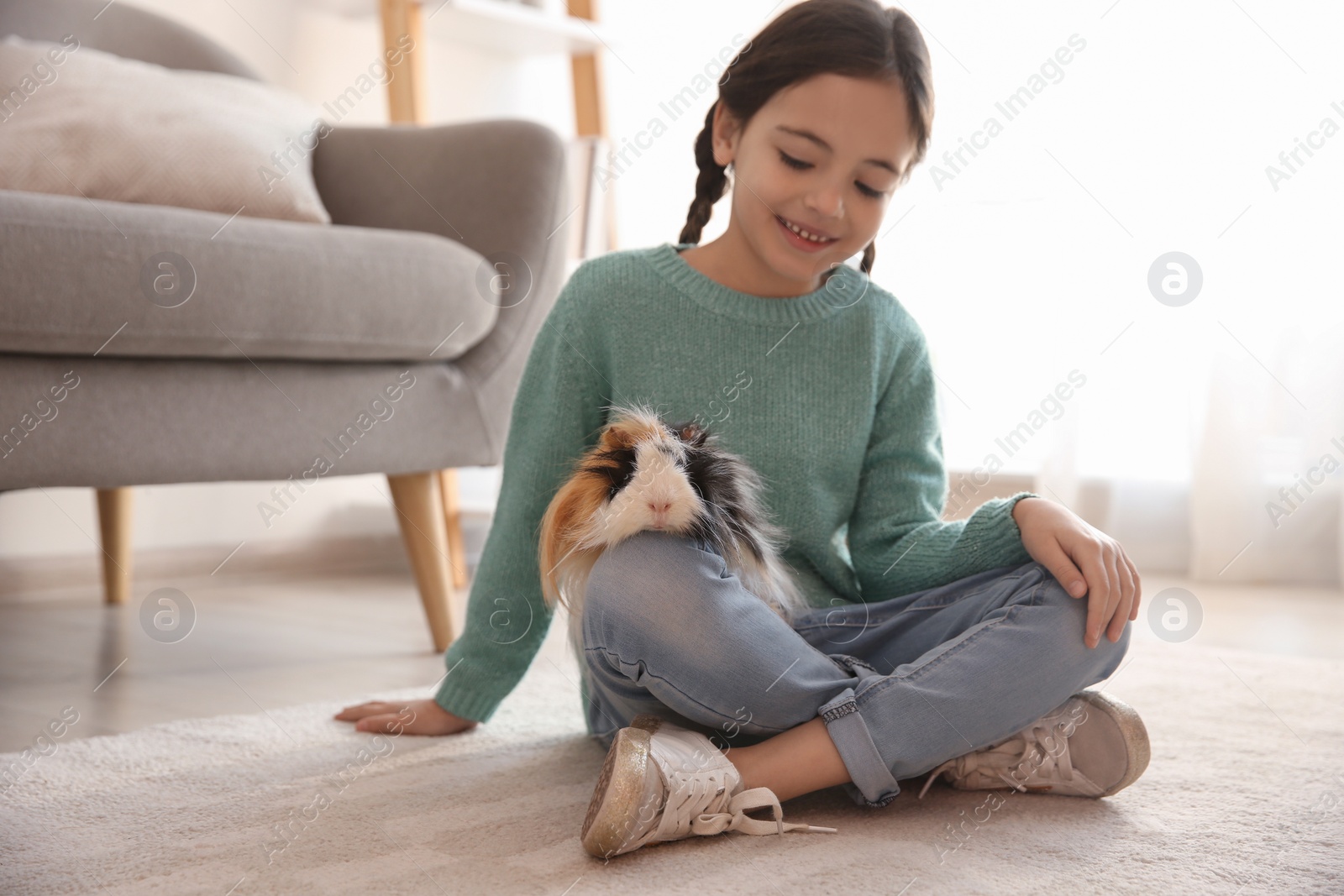 Photo of Happy little girl with guinea pig at home. Childhood pet