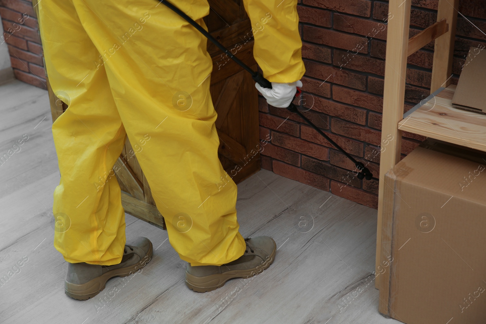 Photo of Pest control worker spraying pesticide indoors, closeup