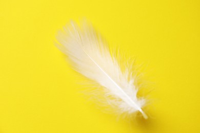 Fluffy white feather on yellow background, top view