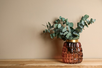 Beautiful eucalyptus branches in glass vase on wooden table against beige background. Space for text