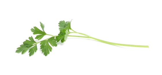 Photo of Leaves of fresh tasty parsley on white background