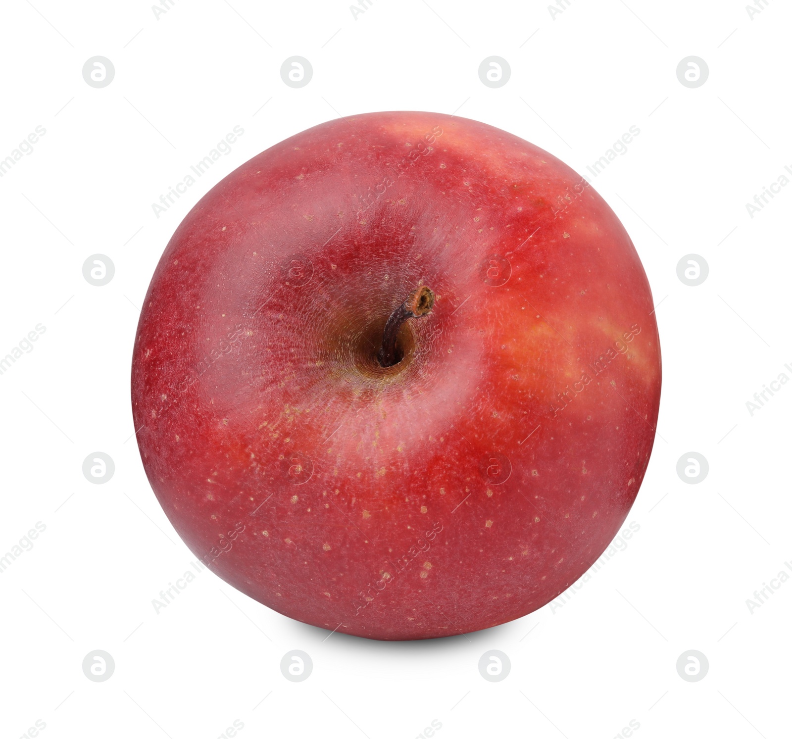 Photo of Whole ripe red apple isolated on white