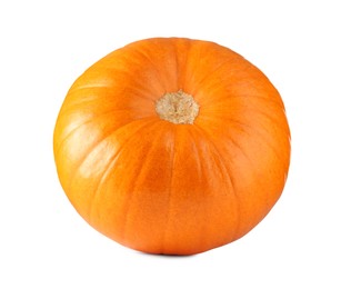 One fresh orange pumpkin isolated on white