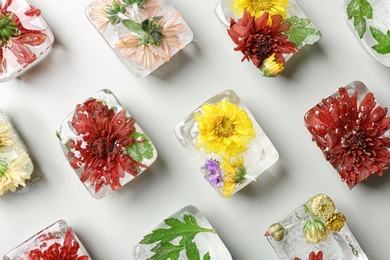 Ice cubes with flowers on light background, flat lay