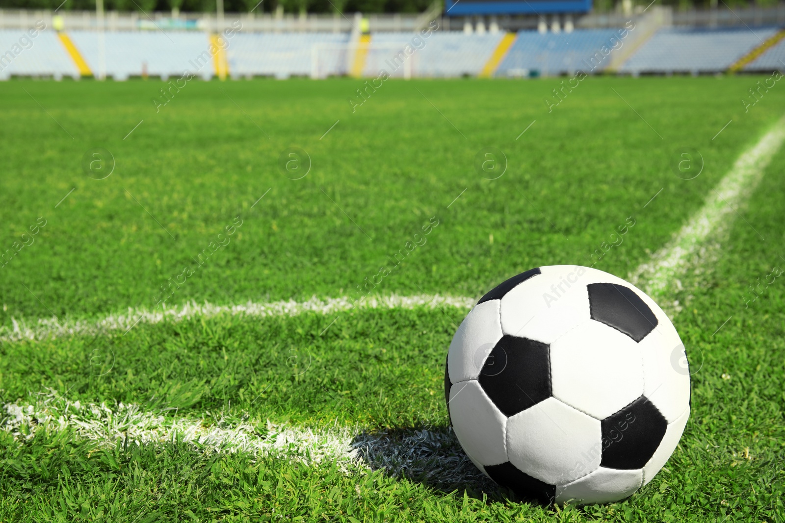 Photo of Soccer ball on fresh green football field grass. Space for text